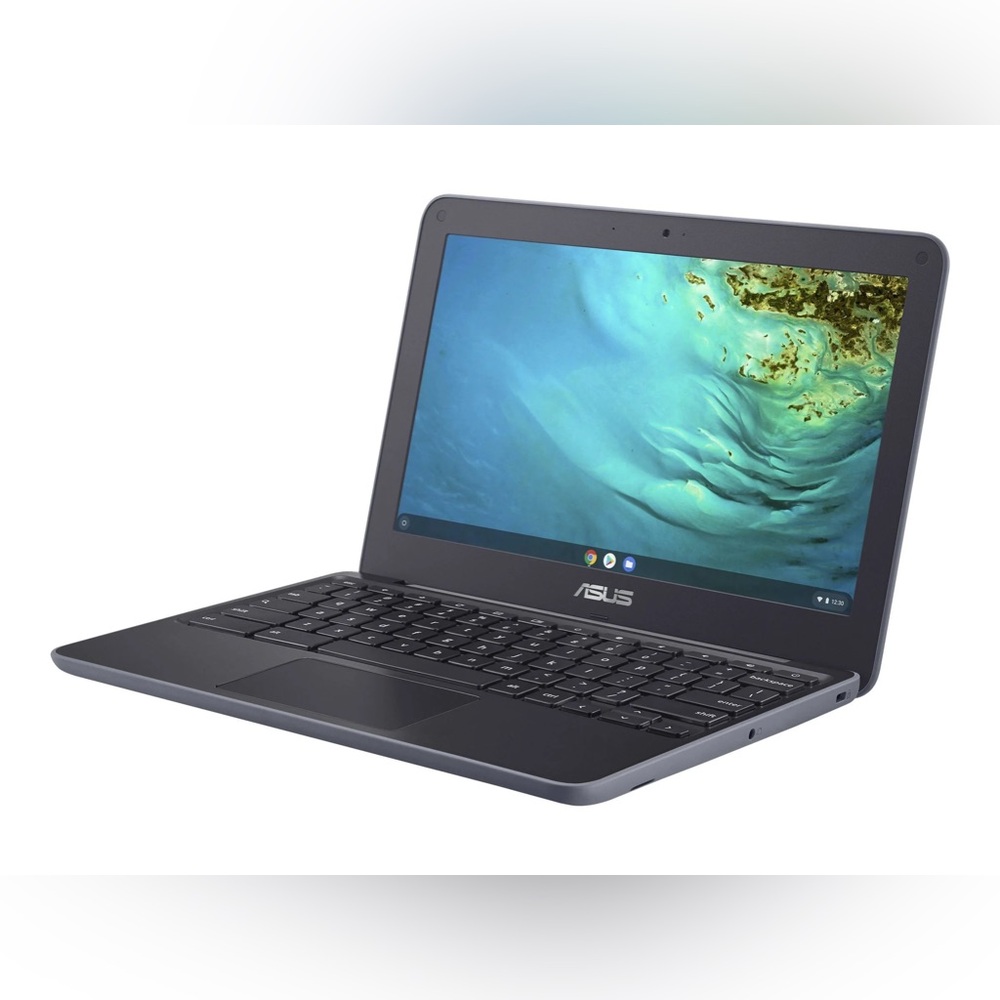 ASUS Chromebook C202S